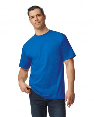 Men's Gildan 2000T Tall T-Shirts Royal | EZLR15369