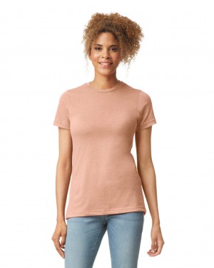 Women's Gildan 67000L CVC T-Shirts Dusty Rose | YRQZ54923