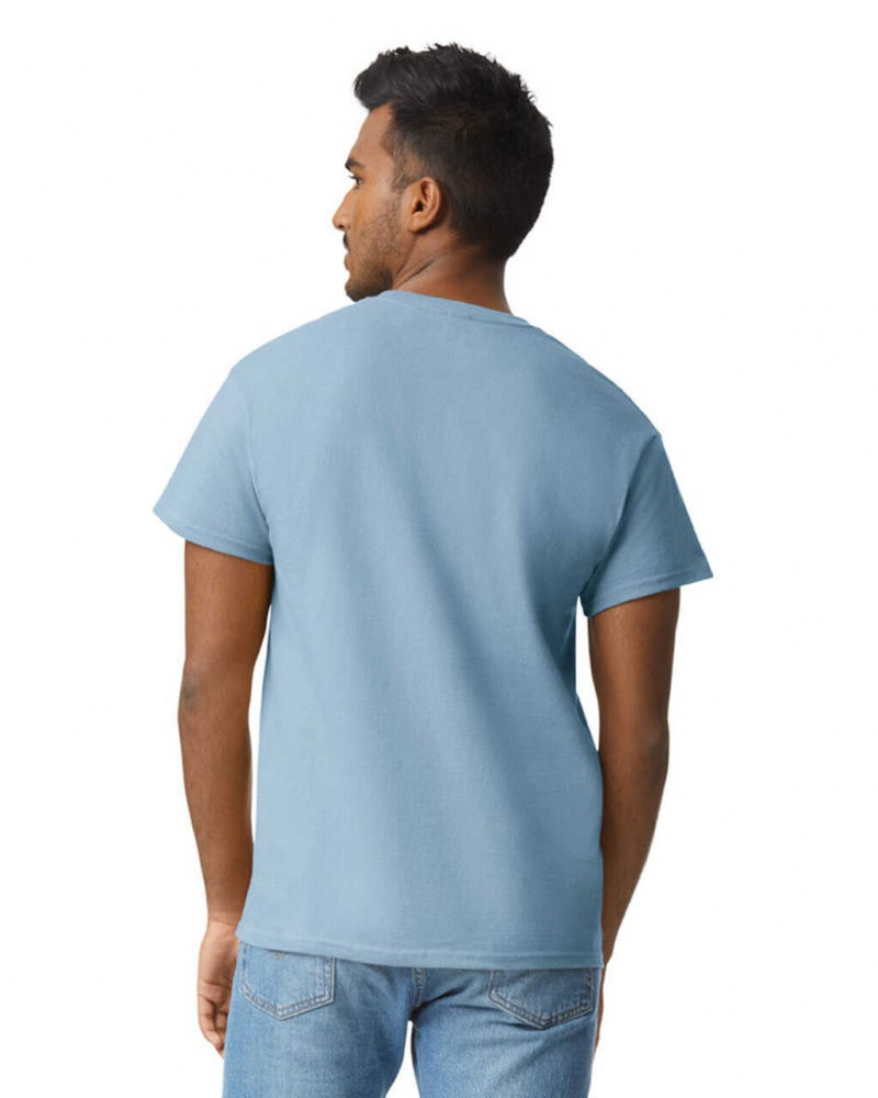 Men's Gildan 2000 T-Shirts Stone Blue | RDBP62850