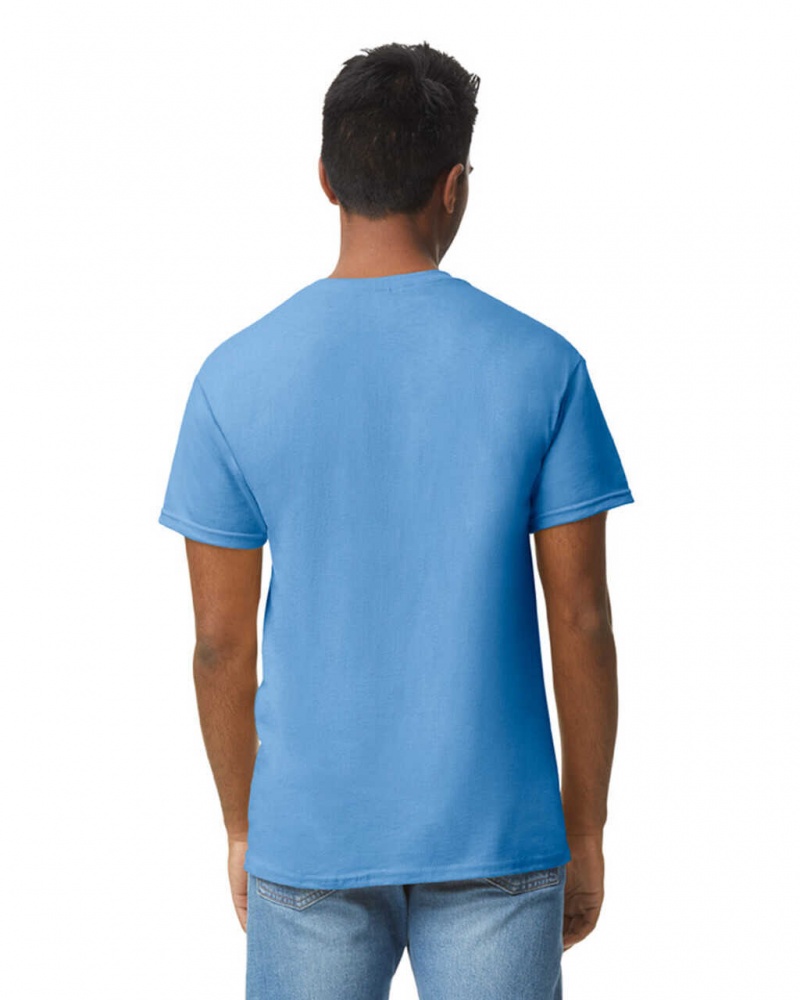 Men's Gildan 5000 T-Shirts Carolina Blue | IVXG79310