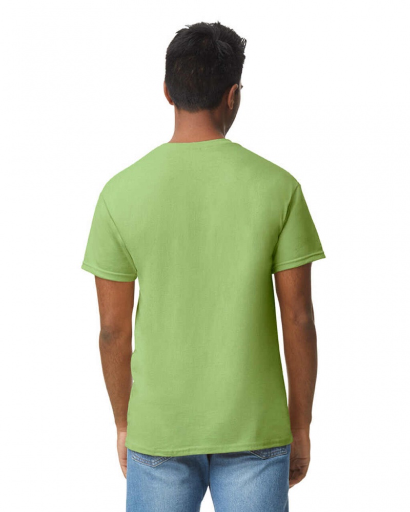 Men's Gildan 5000 T-Shirts Kiwi | ZNOK98613